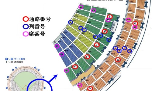 清蒸鲫鱼的视频教程-鲫鱼清蒸怎么好吃又营养价值网-分享鲫鱼清蒸正确方法，鲫鱼清蒸多少分钟最好知识库